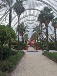 Foto 5 de 5