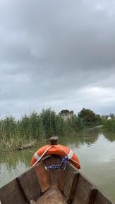 Foto 1 de 2