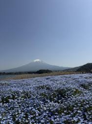 Foto 1 de 3