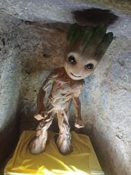 Foto 1 de 6