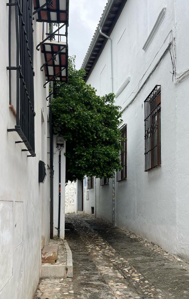 Foto 2 de 3