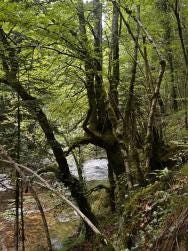 Foto 1 de 3