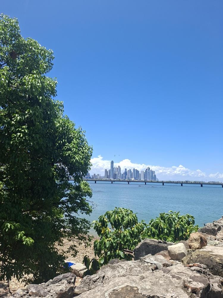 Foto 1 de 6