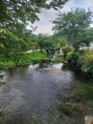 Foto 6 de 6