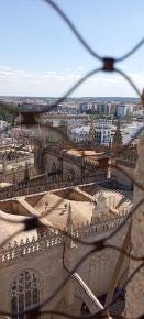Foto 9 de 10