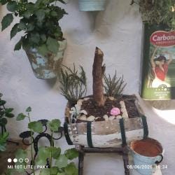Foto 2 de 3