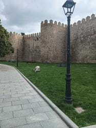 Foto 1 de 3
