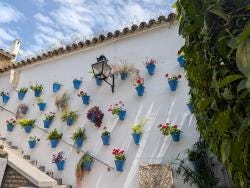Foto 1 de 2