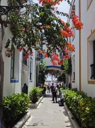 Foto 2 de 2