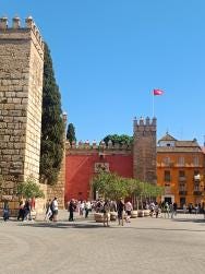 Foto 3 de 3