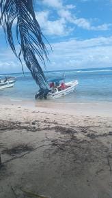Foto 3 de 5