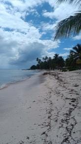 Foto 2 de 5