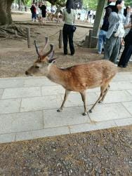 Foto 1 de 1
