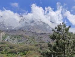 Foto 2 de 2