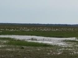 Foto 2 de 3