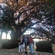 Foto 1 de 1
