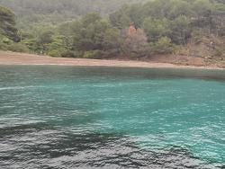 Foto 1 de 1