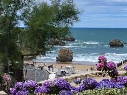 Foto 5 de 5