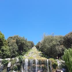 Foto 2 de 3