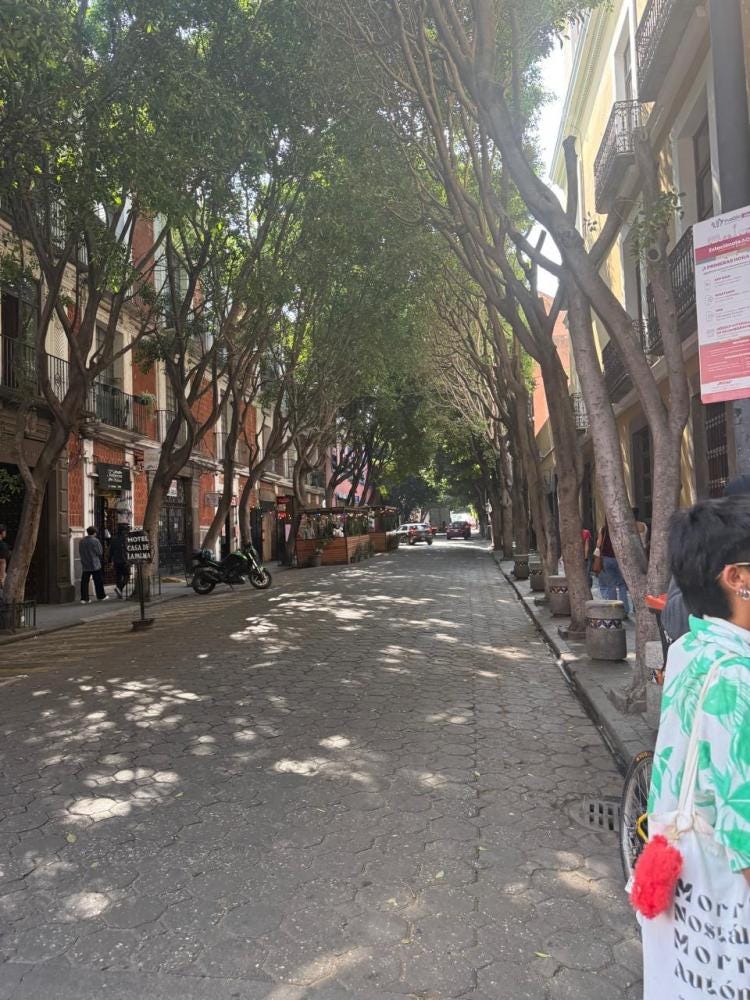 Foto 4 de 4