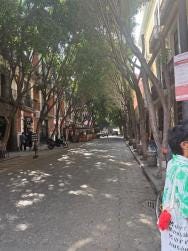 Foto 4 de 4