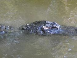 Foto 2 de 6
