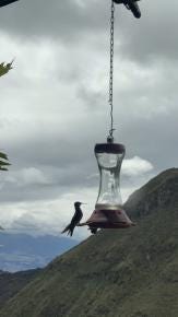 Foto 2 de 6