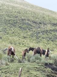 Foto 4 de 6