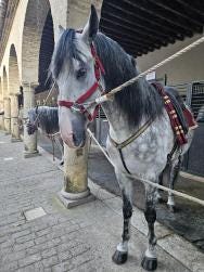Foto 1 de 2