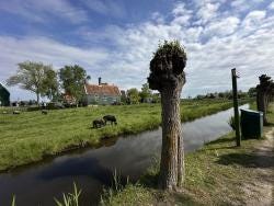 Foto {1} di {2}