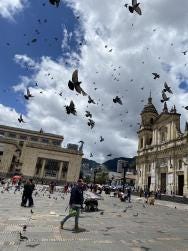 Foto 2 de 2
