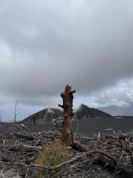 Foto 2 de 3