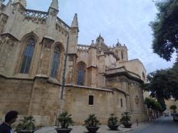 Foto 1 de 2