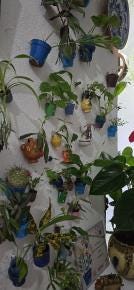 Foto 1 de 4