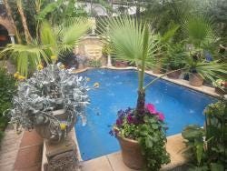 Foto 4 de 4
