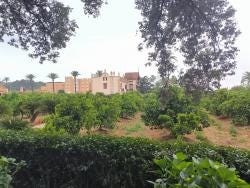 Foto 1 de 1