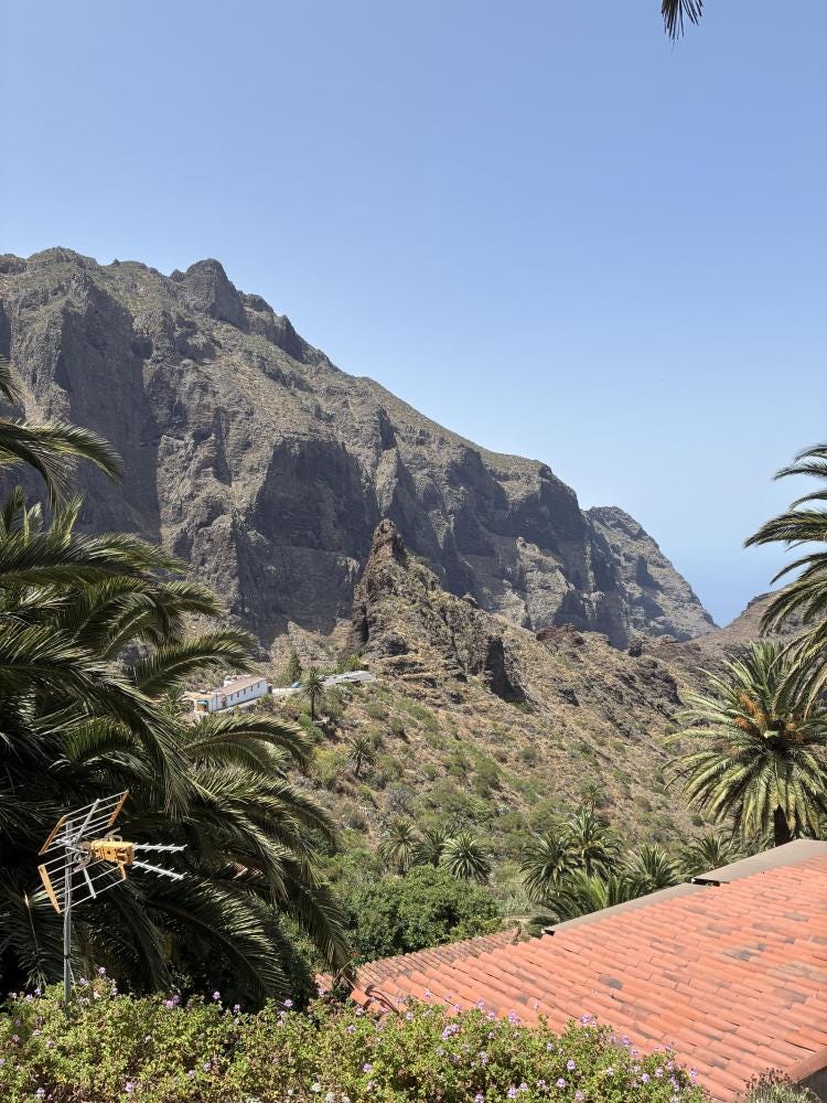 Foto 3 de 3