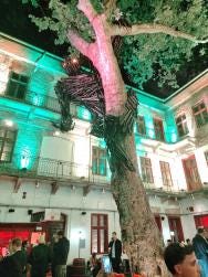 Foto 1 de 1