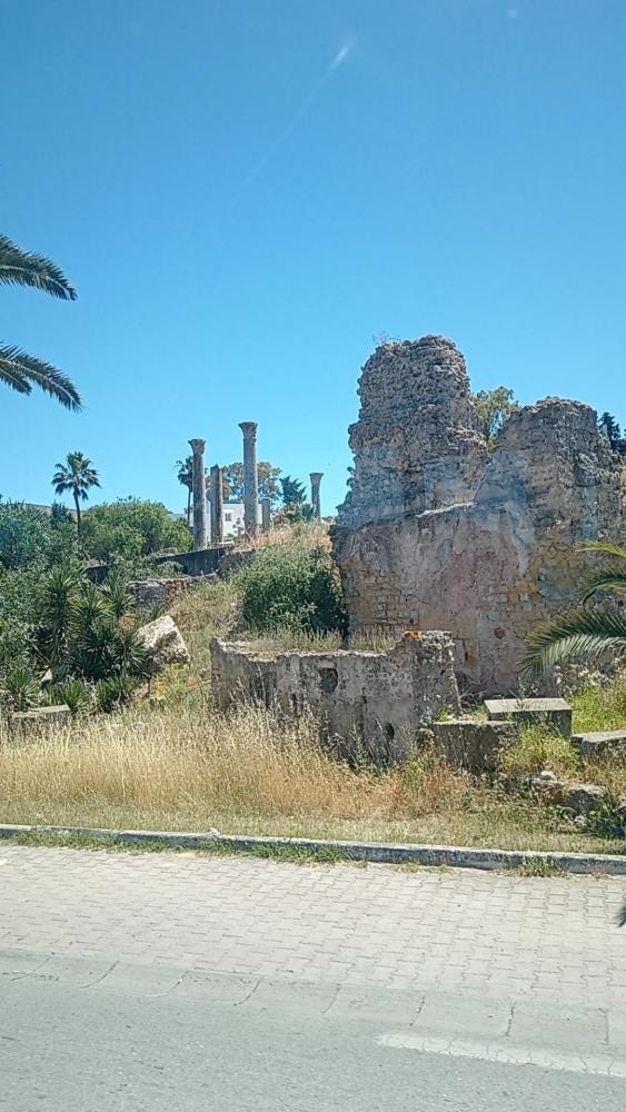 Foto 2 di 4