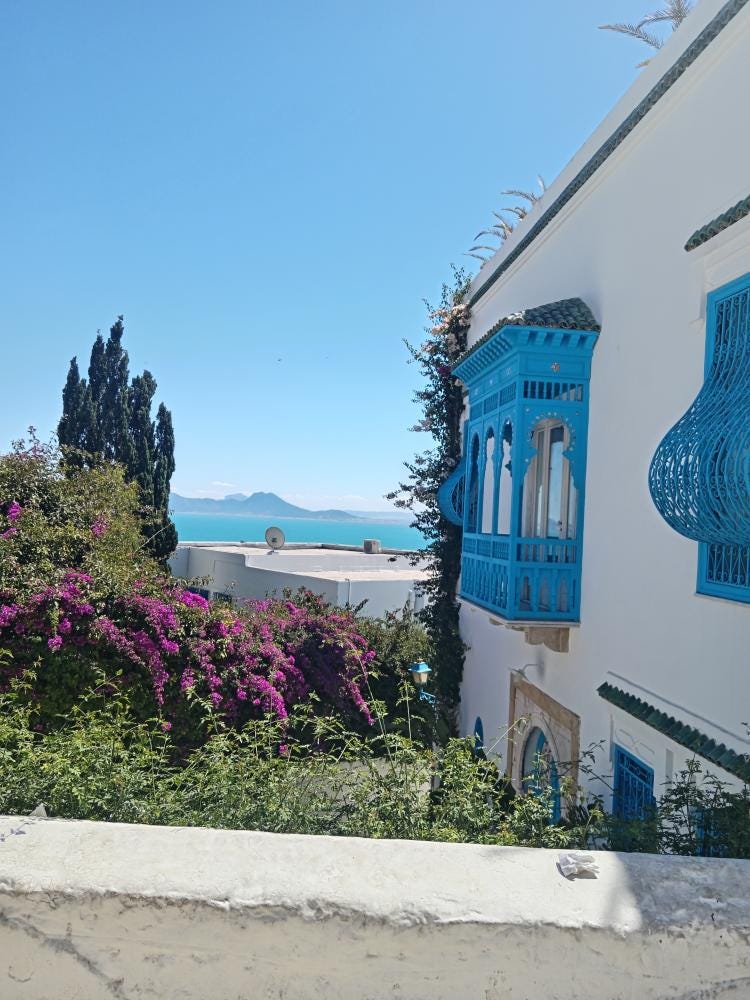 Foto 4 di 4