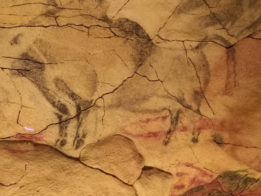 Foto 4 di 5