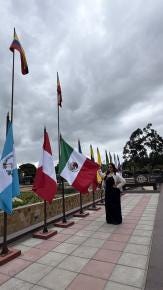Foto 6 de 6