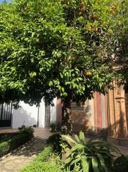 Foto 3 de 3