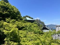 Foto 1 de 2