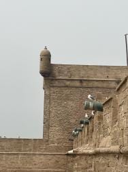 Foto 4 de 7