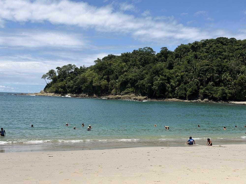 Foto 1 de 1