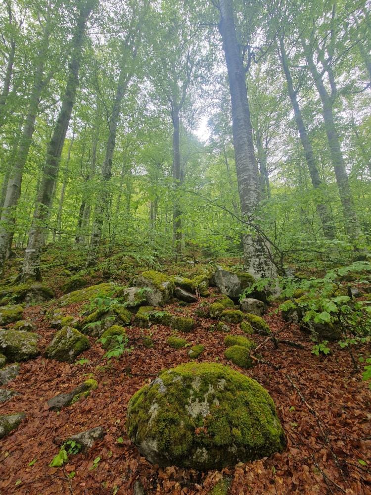 Foto 1 di 5