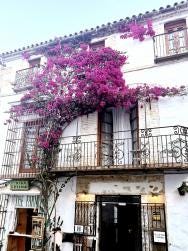 Foto 5 de 5