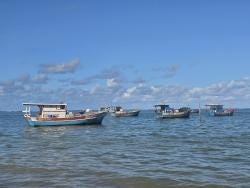 Foto 7 de 8