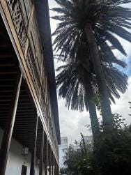 Foto 1 de 1
